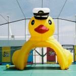 Festa di Laurea con i gonfiabili Festa di Laurea con i gonfiabili